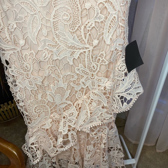 Blush Pink Lace Ruffled Wedding Guest Dress - Picture 6 of 11